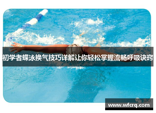 初学者蝶泳换气技巧详解让你轻松掌握流畅呼吸诀窍