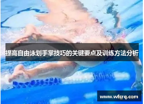 提高自由泳划手掌技巧的关键要点及训练方法分析