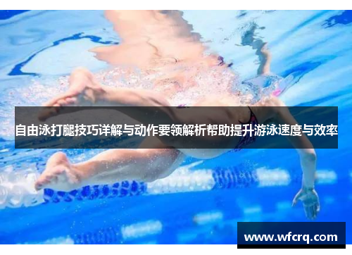 自由泳打腿技巧详解与动作要领解析帮助提升游泳速度与效率