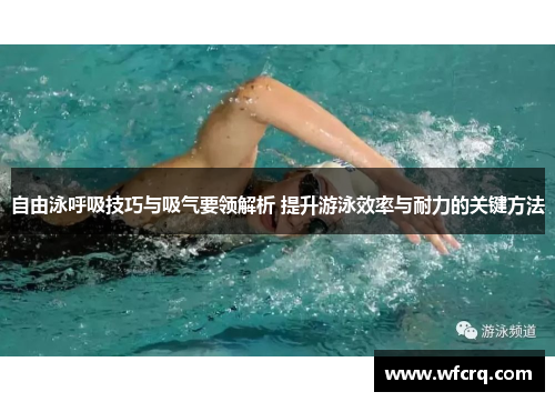 自由泳呼吸技巧与吸气要领解析 提升游泳效率与耐力的关键方法