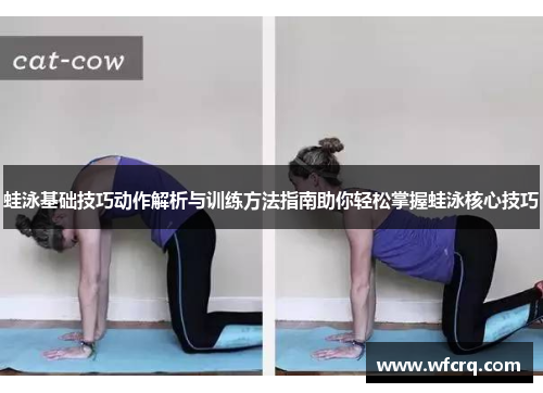 蛙泳基础技巧动作解析与训练方法指南助你轻松掌握蛙泳核心技巧