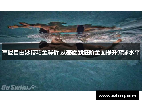 掌握自由泳技巧全解析 从基础到进阶全面提升游泳水平